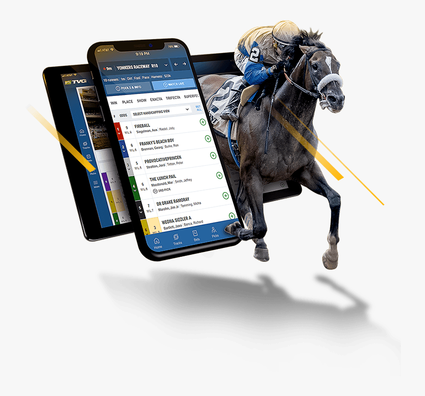 Stallion, HD Png Download
