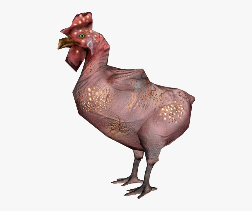 Nukapedia The Vault Fallout 76 Chicken Location, HD Png Download