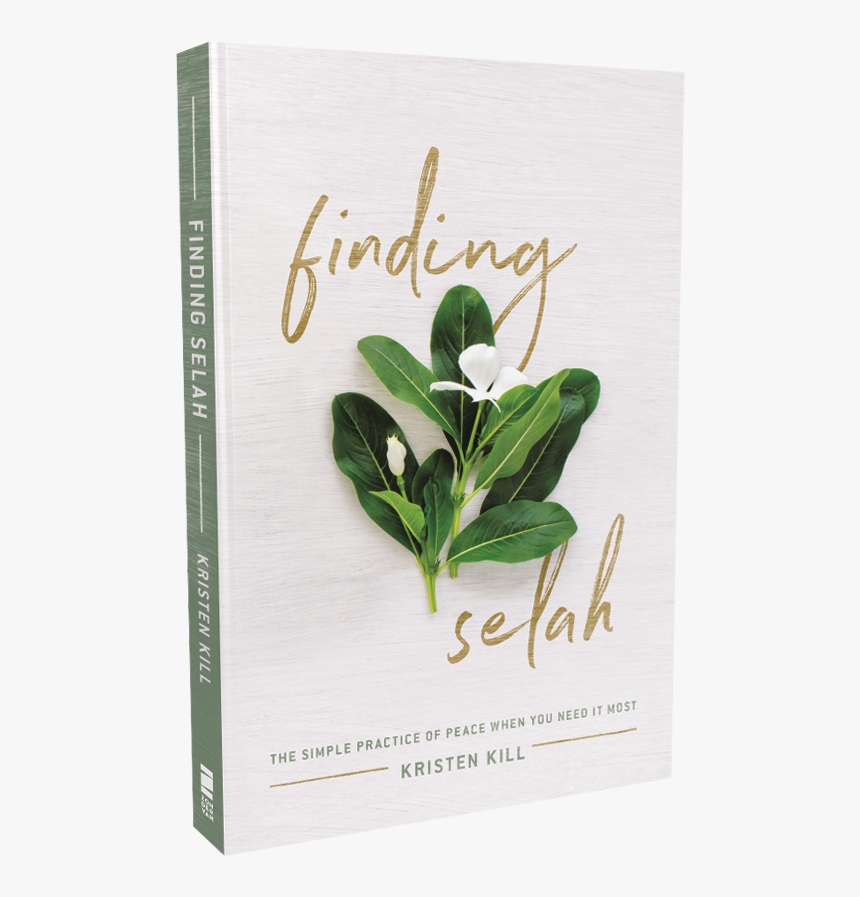 3d Cover No Shadow, HD Png Download