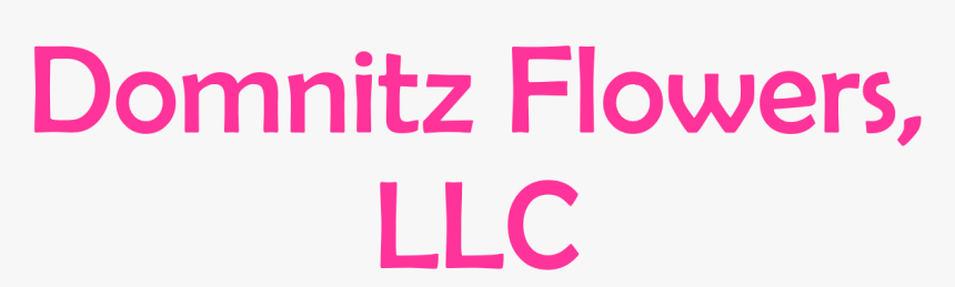 Transparent Hahaha No, HD Png Download