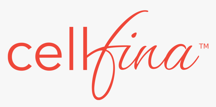 Calligraphy, HD Png Download