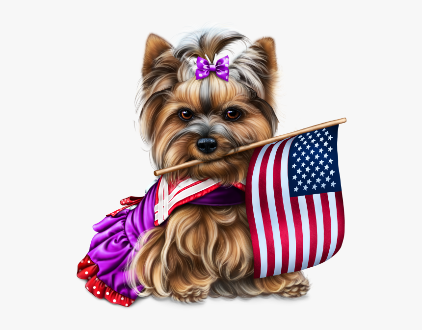 Yorkie 4th Of July 2 - Fourth Of July Yorkie, HD Png Download