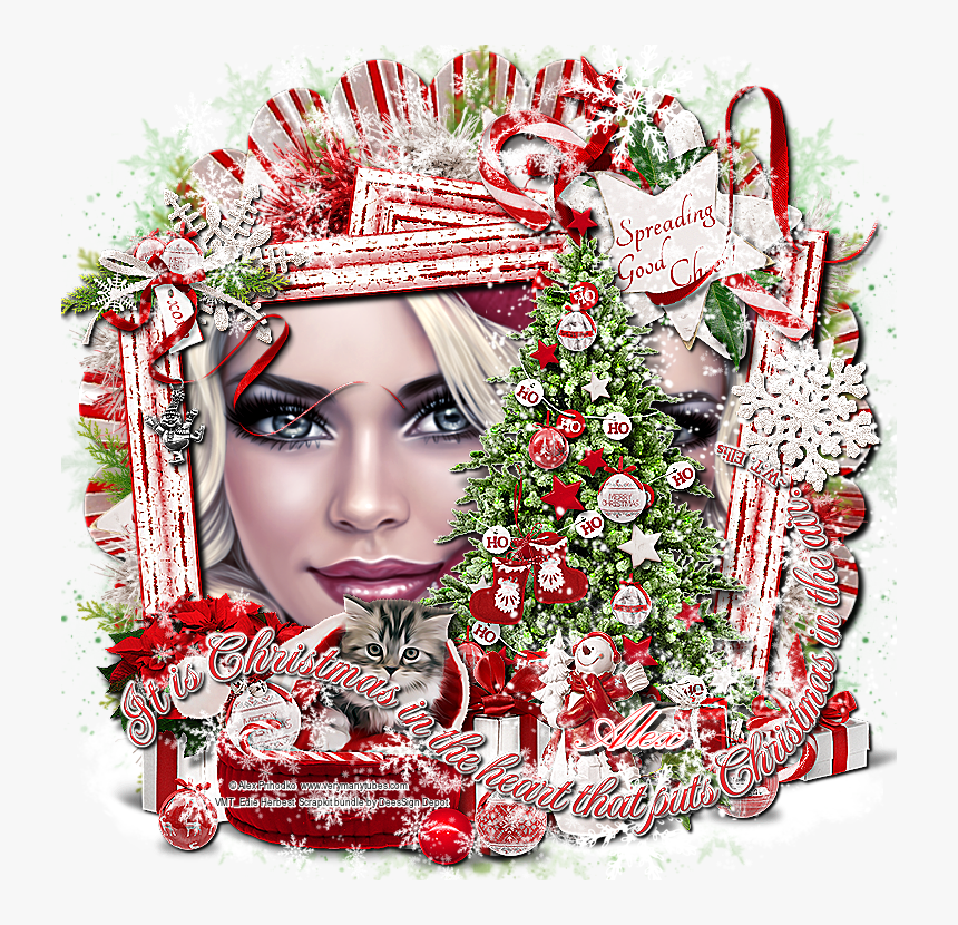 Floral Design, HD Png Download