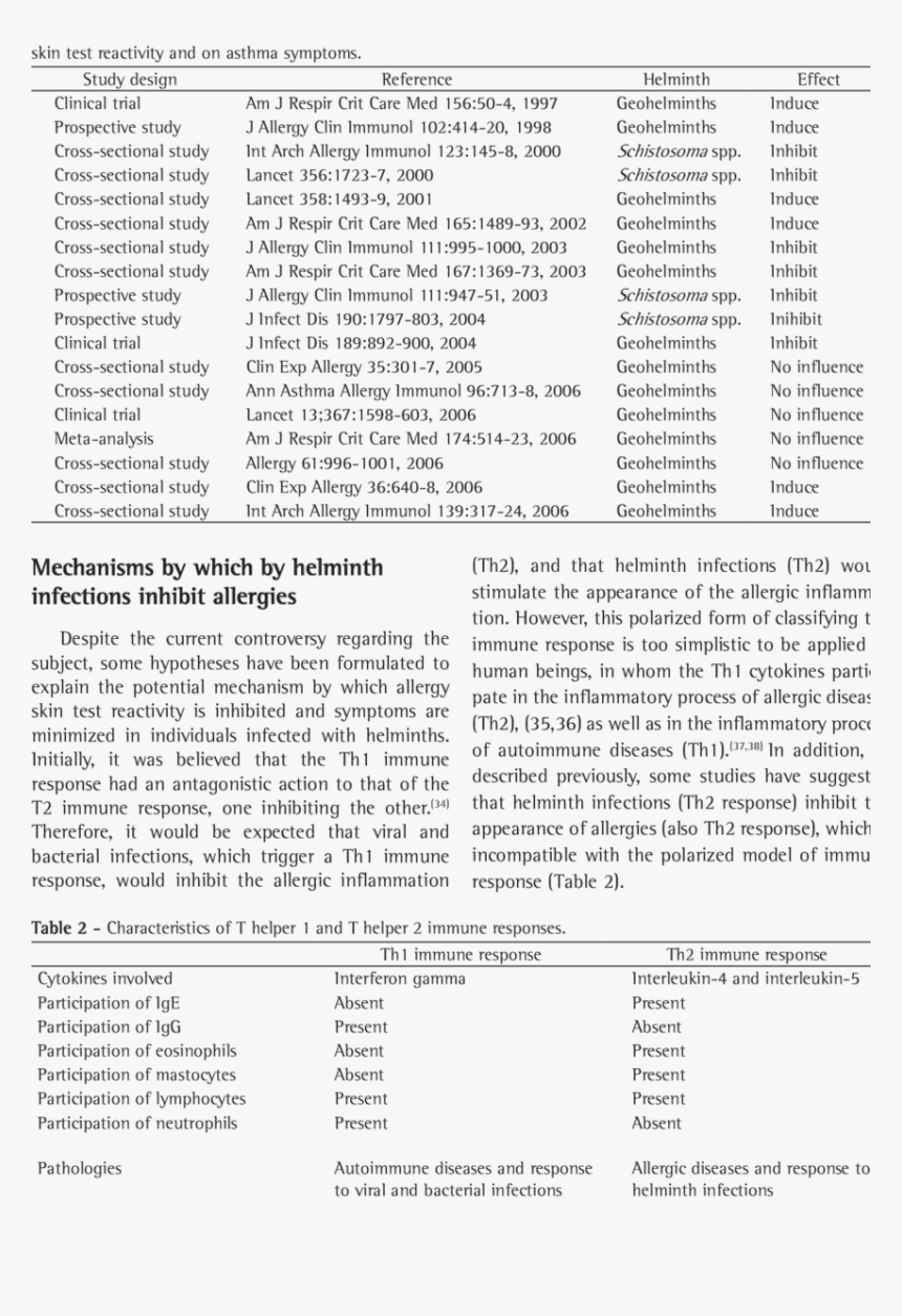 Document, HD Png Download