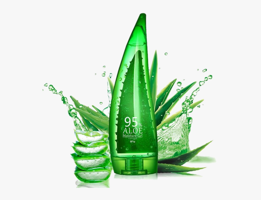 Aloe Vera Png Hd, Transparent Png