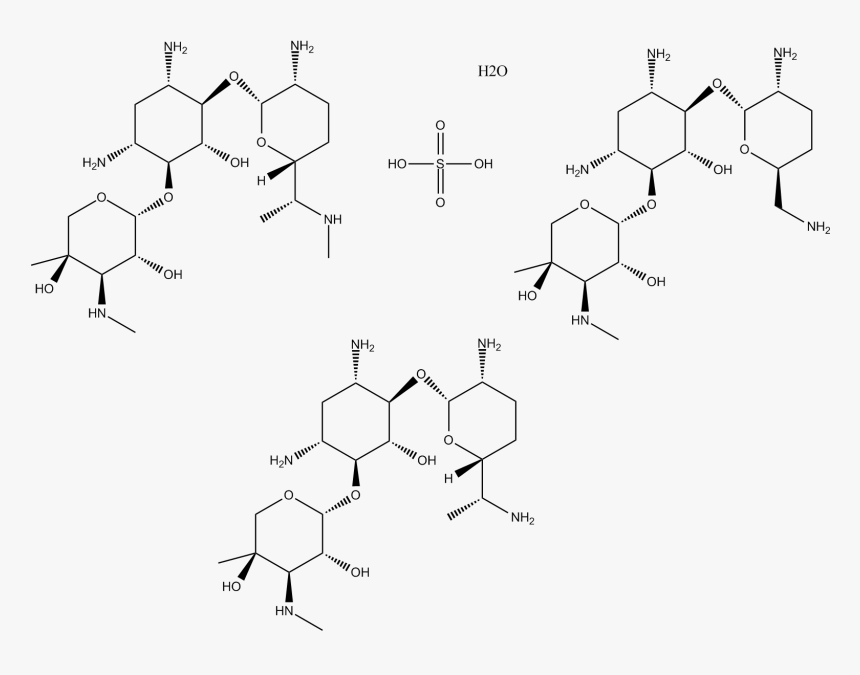 Diagram, HD Png Download