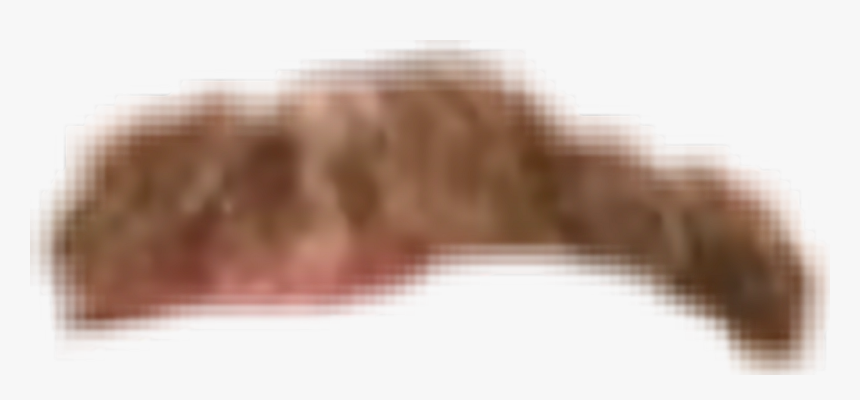 Wood, HD Png Download