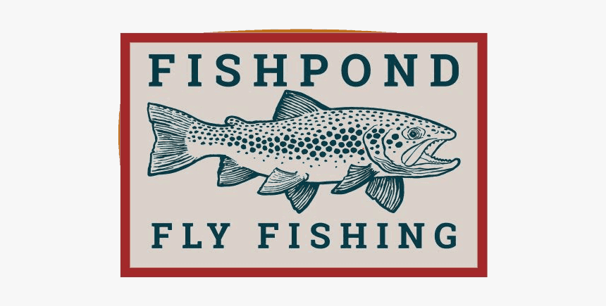 Trout, HD Png Download