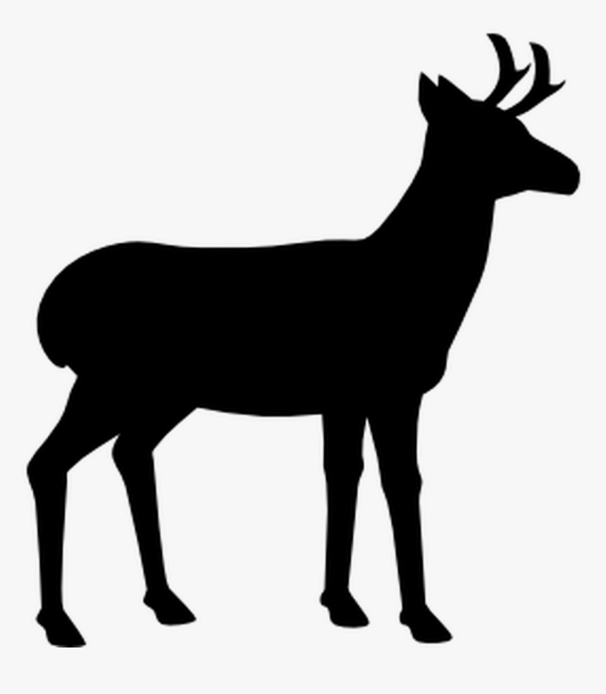 Antelope - Black Lama Clipart, HD Png Download