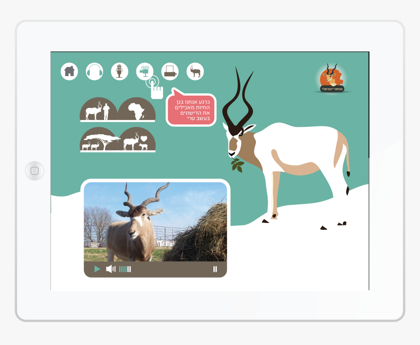 Reindeer, HD Png Download