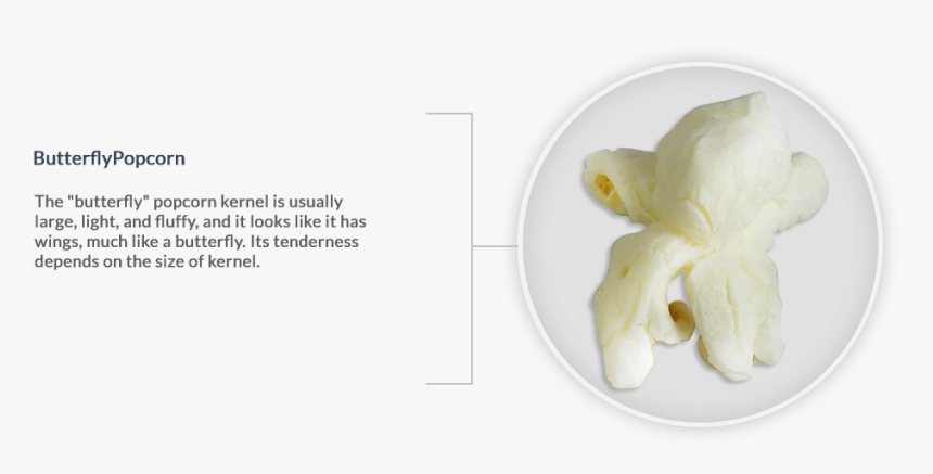 Voicemail Icon , Png Download - Fruit, Transparent Png