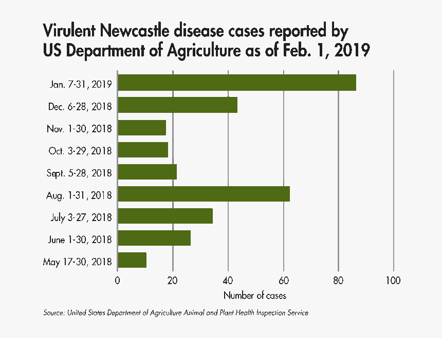 Number, HD Png Download