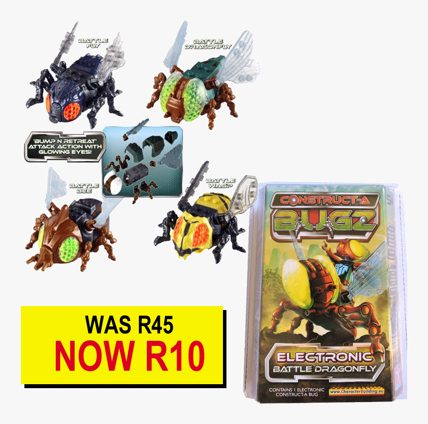 Insect, HD Png Download