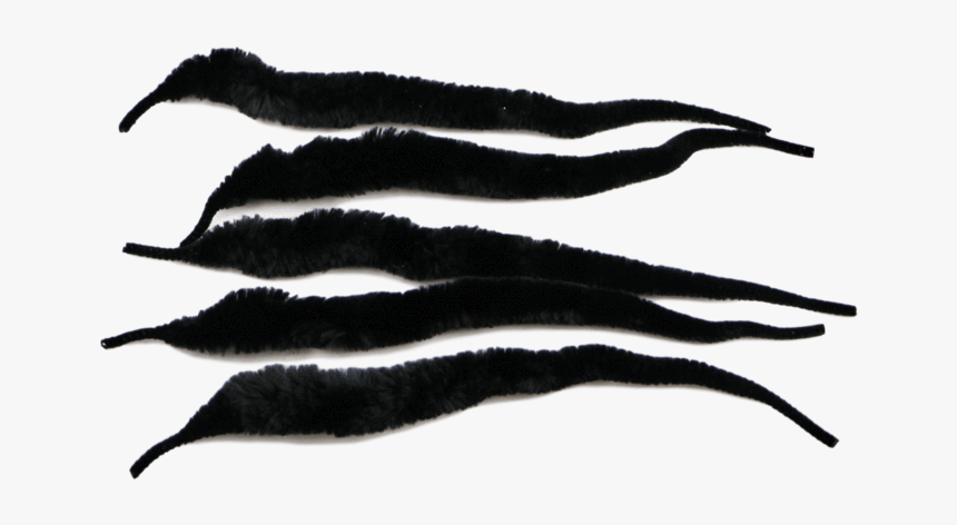 Mangum S Original Dragon Tail Uv2 Treated 

 
 Data - Fish, HD Png Download