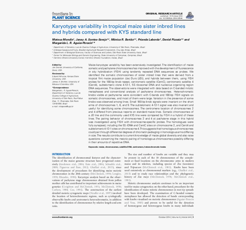 Coronary Revascularisation Outcome Questionnaire, HD Png Download
