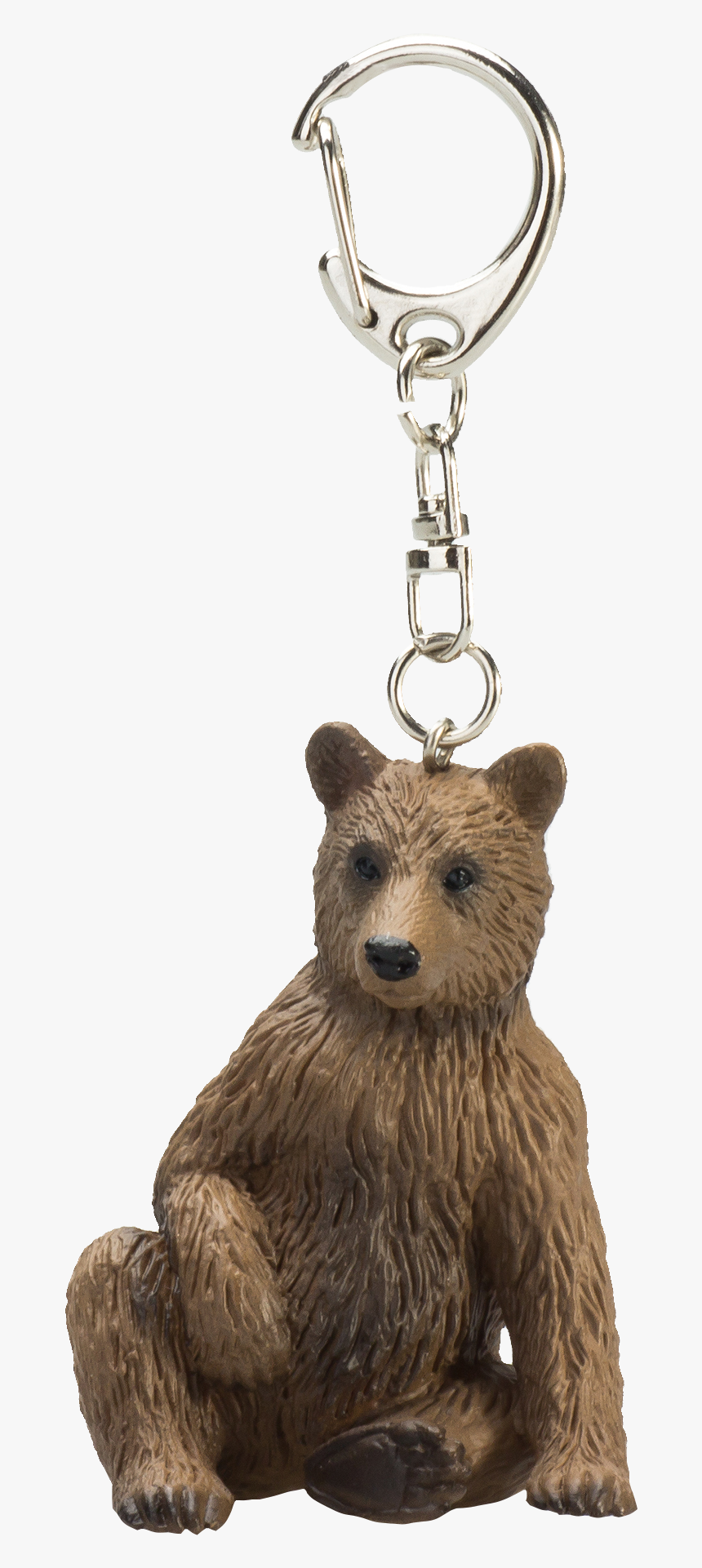 Grizzly Bear, HD Png Download
