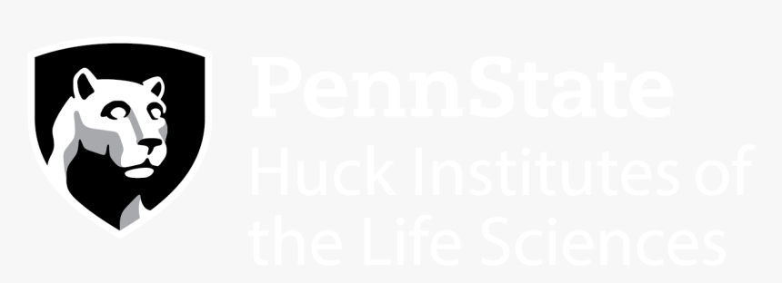 Ivory, HD Png Download