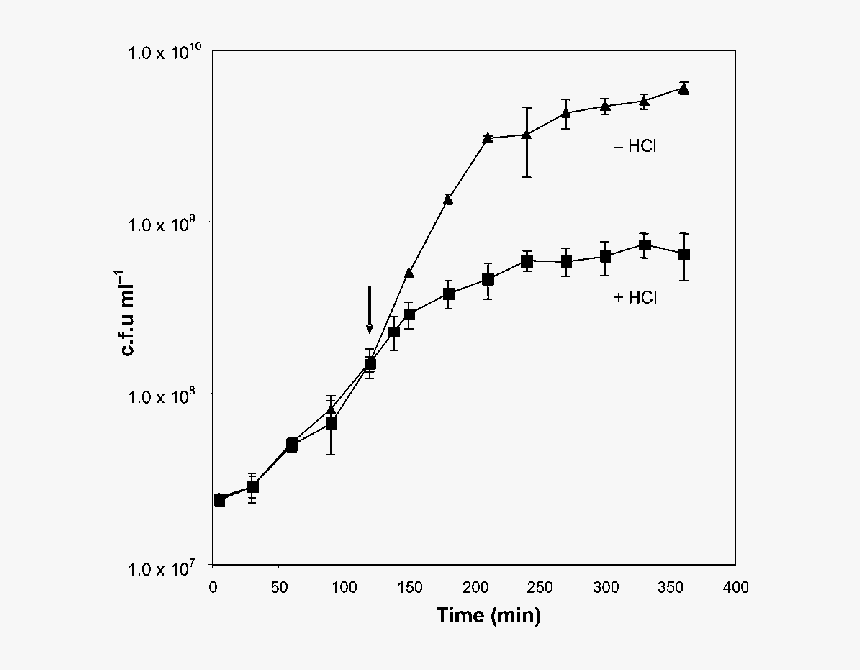 Plot, HD Png Download