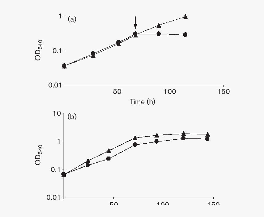 Plot, HD Png Download