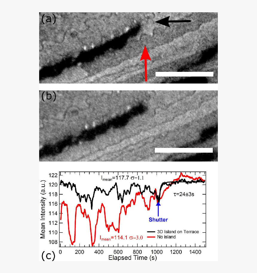 Plot, HD Png Download