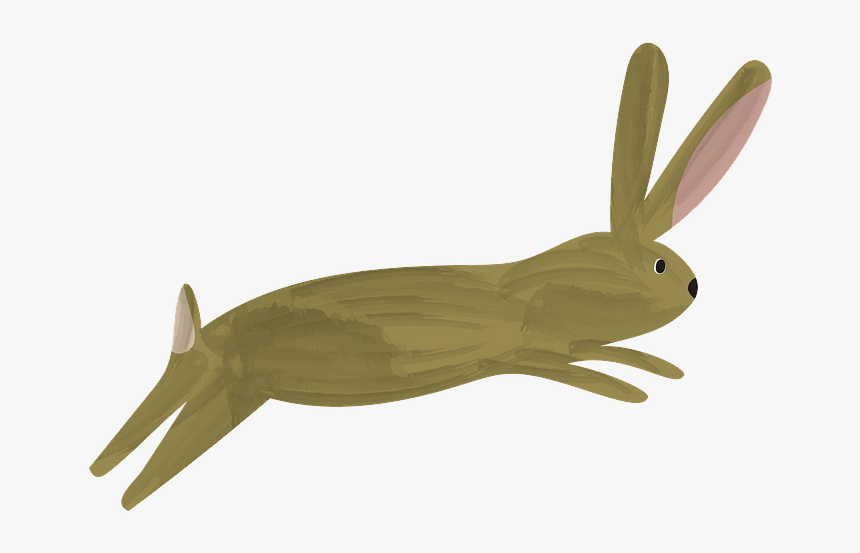 Insect, HD Png Download