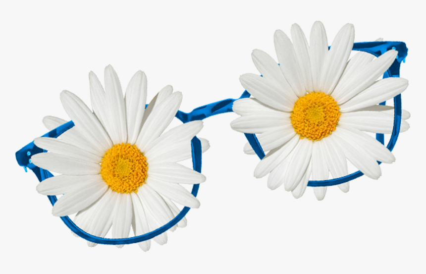 Mes Da Mulher, HD Png Download