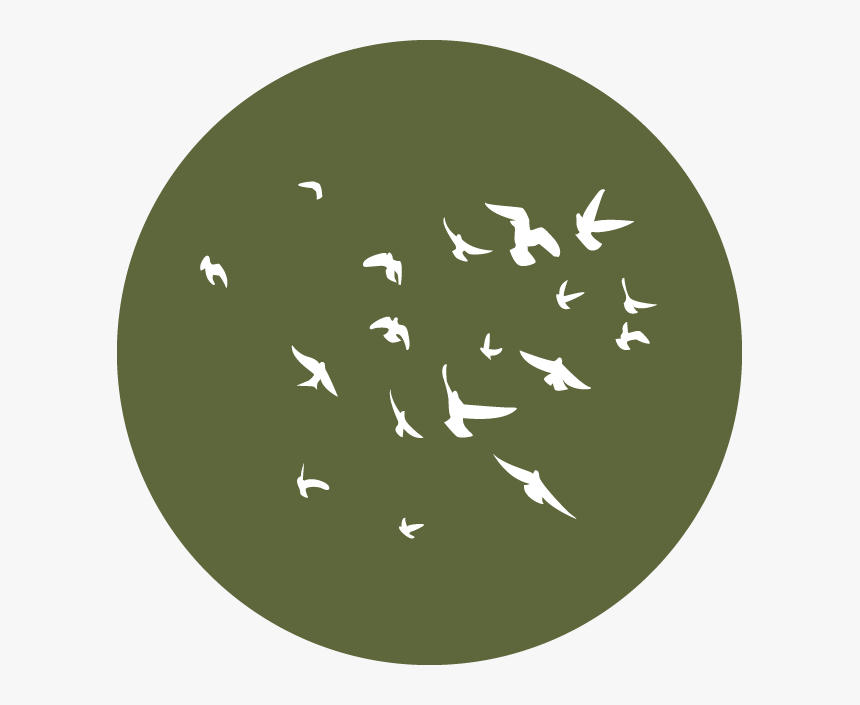 Circle, HD Png Download