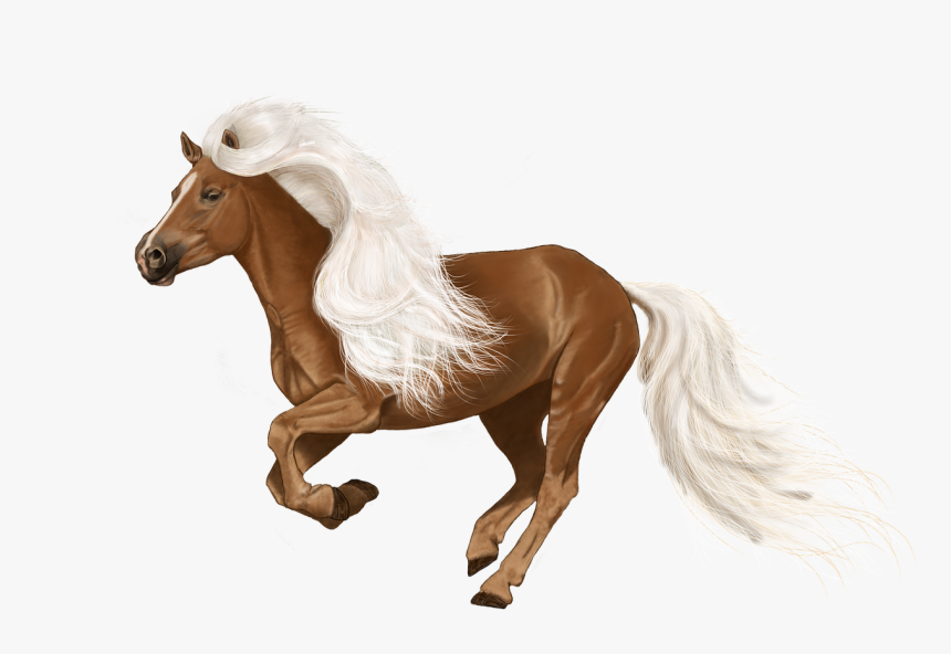 Horse Digital Art, HD Png Download