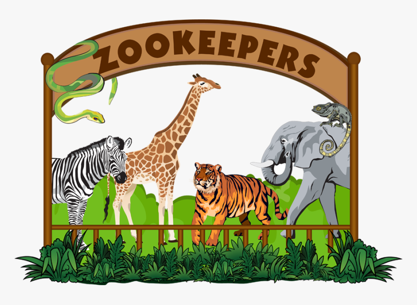 Picture - Zoo Clipart, HD Png Download
