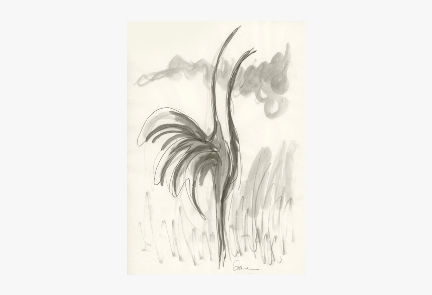 Sketch, HD Png Download