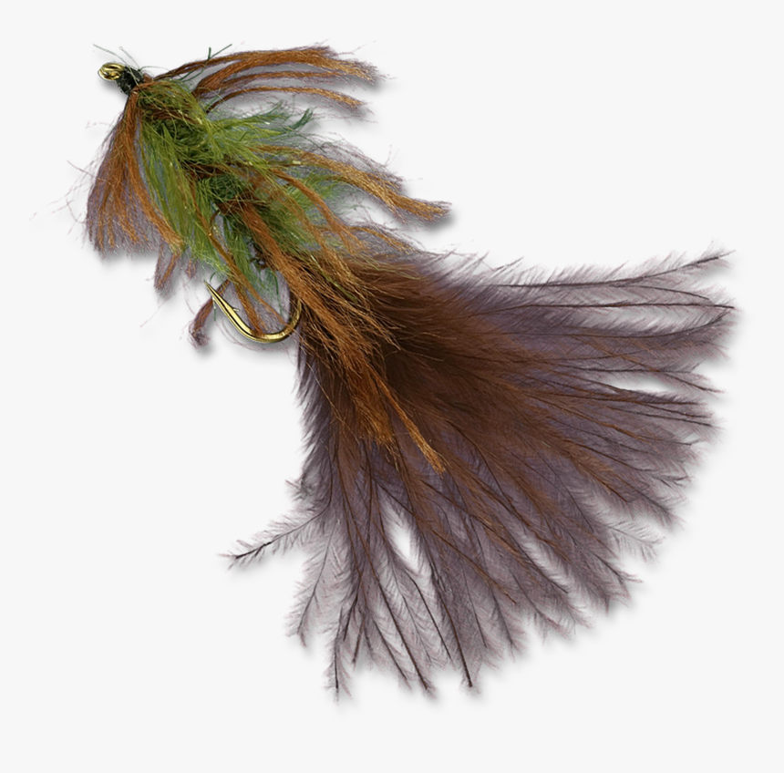 Zack S Stillwater Swimming Leech - Earrings, HD Png Download