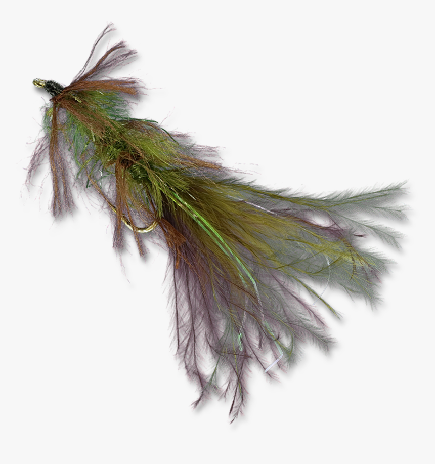 Zack S Stillwater Swimming Leech - Earrings, HD Png Download