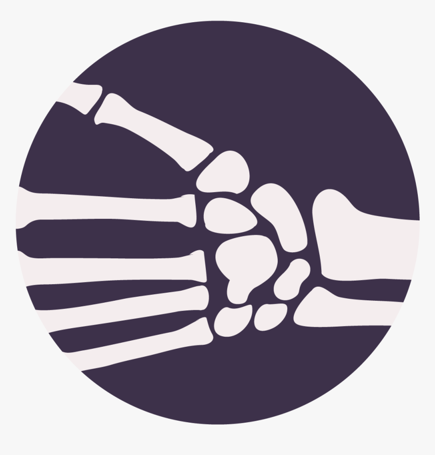 Circle, HD Png Download