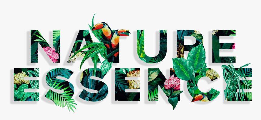 Graphic Design, HD Png Download