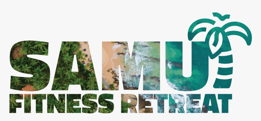 Grass, HD Png Download