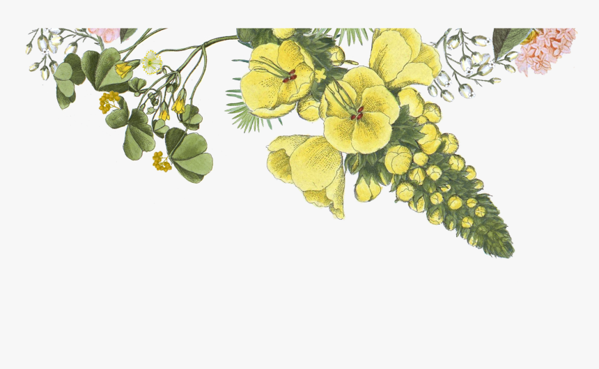 Flowers Wix , Png Download - Skin Care Website Template, Transparent Png