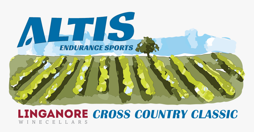 Online Advertising, HD Png Download