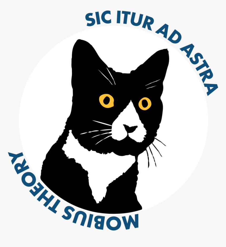 Mobius Theory Daft Cat Logo For Website, HD Png Download