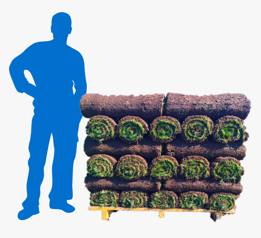Lowes Sod, HD Png Download