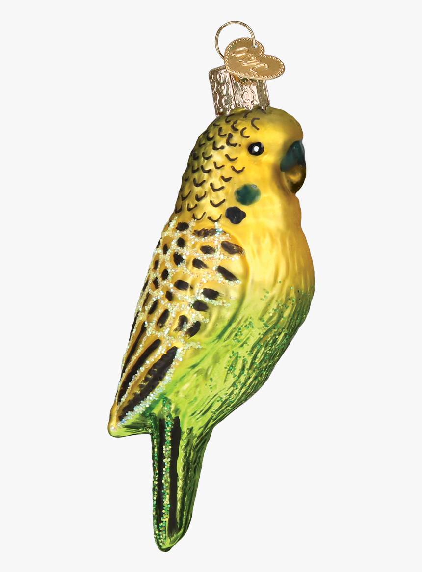 Budgie, HD Png Download