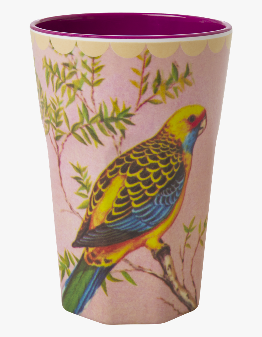 Rice Mugg, HD Png Download