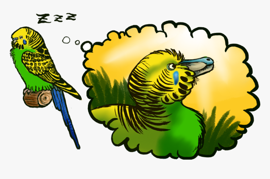 Bandits Never Owned Budgies - Parrot Raptor, HD Png Download
