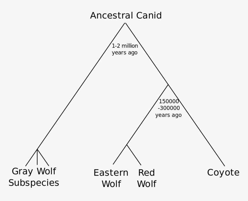 Diagram, HD Png Download