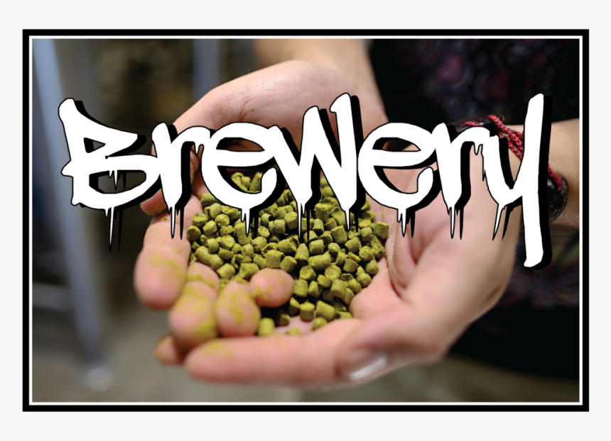 Website Homepage Buttons-05, HD Png Download