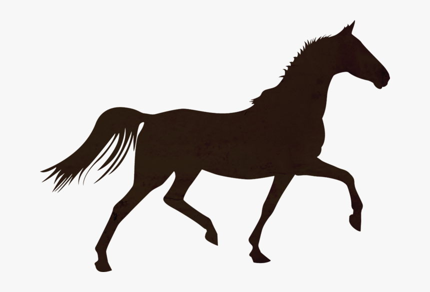 Horse Colt Foal Stallion Mare - Horse Trotting Silhouette, HD Png Download