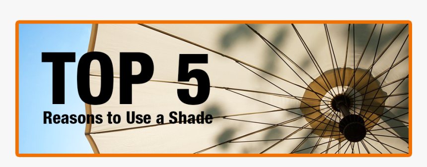 Browse All - Bicycle Tire, HD Png Download