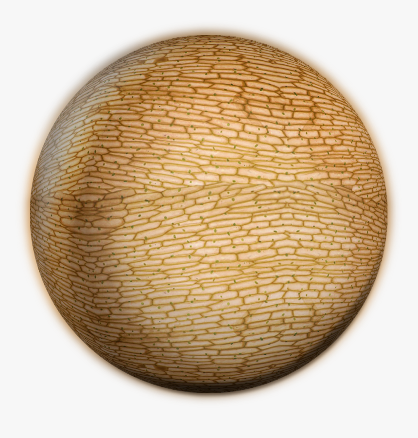 Circle, HD Png Download