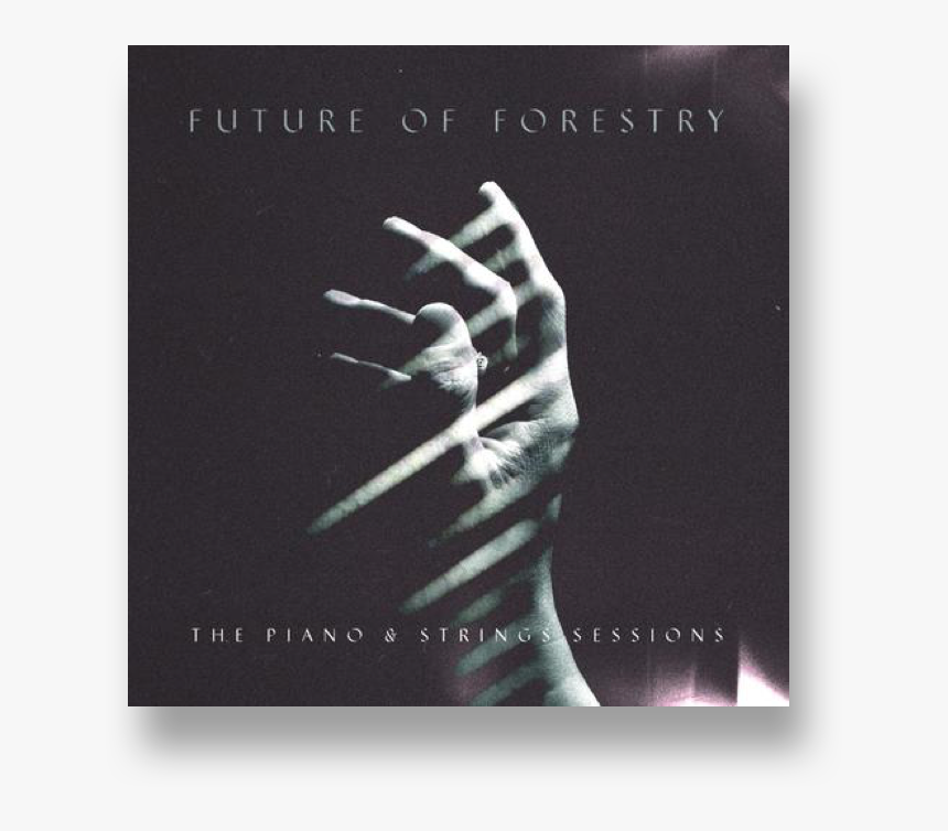 Artboard Copy 4 - Future Of Forestry You, HD Png Download