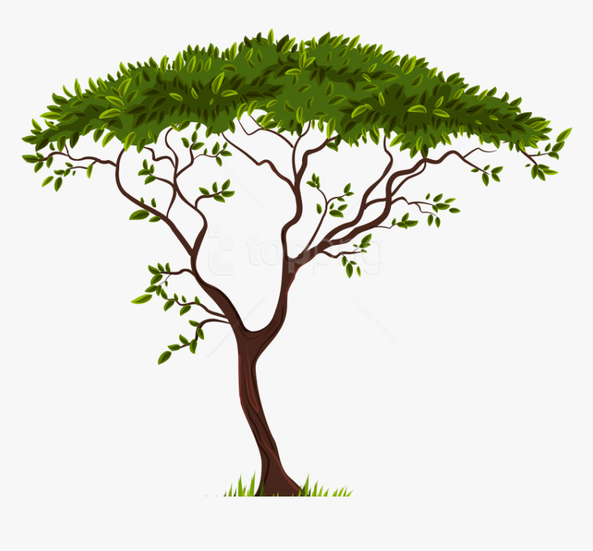 Free Png Download Exotic Tree Clipart Png Photo Png - Tree Clipart Transparent Background, Png Download