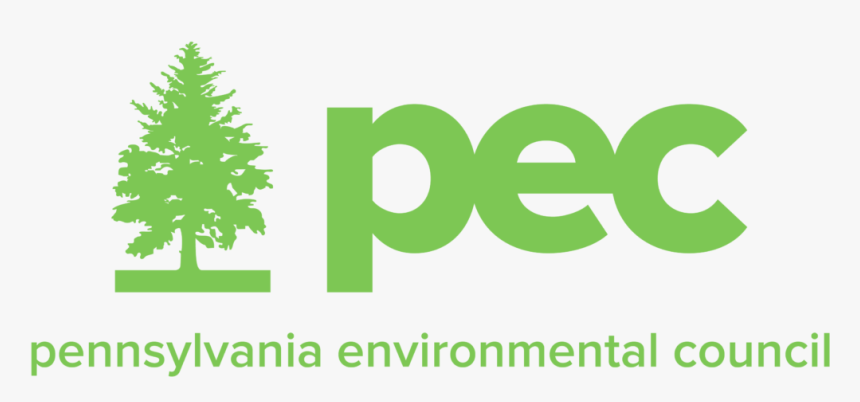 Christmas Tree, HD Png Download